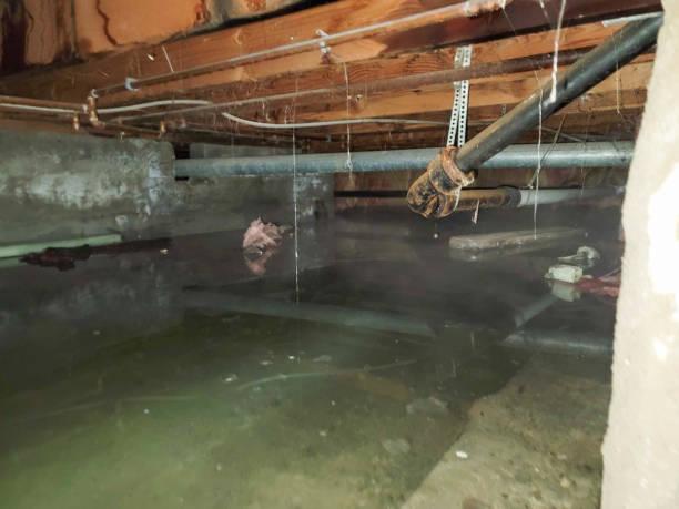 Best Residential water damage restoration  in Valley Falls, SC