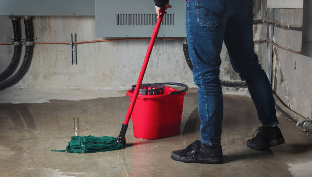 Best Local water damage restoration  in Valley Falls, SC