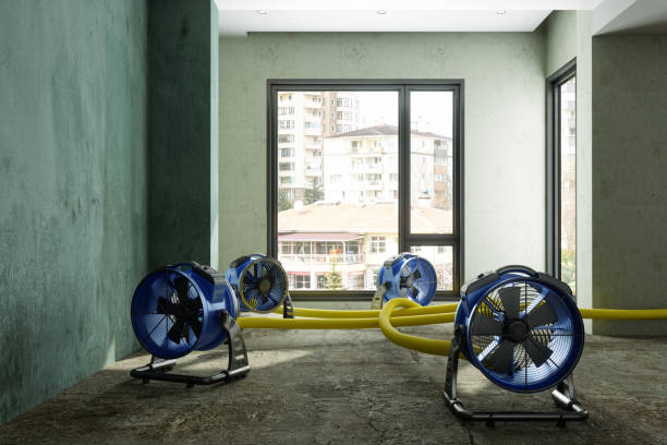 Best Basement water damage restoration  in Valley Falls, SC